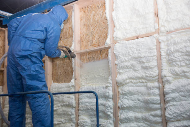 Best Basement Insulation in Keaau, HI